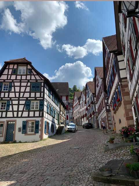 foodforcartoon_black_forest_Schiltach_old_town