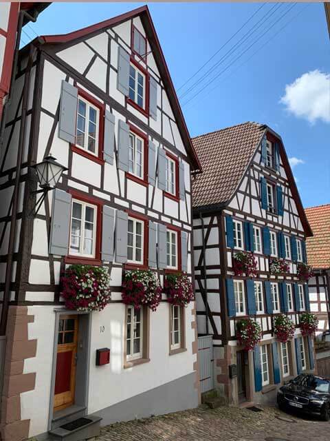 foodforcartoon_black_forest_Schiltach_old_town_view